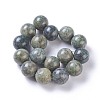 Natural African Turquoise(Jasper) Beads Strands G-E524-10-25mm-2