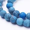 Dyed Natural Map Stone/Picasso Stone/Picasso Jasper Beads Strands G-F520-52-6mm-3