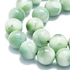 Natural Glass Beads Strands G-K245-A13-05-3