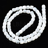 Natural Trochid Shell/Trochus Shell Beads Strands X-SSHEL-N034-121-B01-2