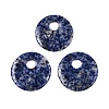 Natural Blue Spot Jasper Pendants G-T138-177B-1
