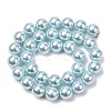 Electroplated Shell Pearl Beads Strands BSHE-G041-12mm-03-2