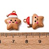 Christmas Themes Baking Paint Alloy Pendants LS-FIND-G097-02E-3