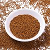 MIYUKI Delica Beads SEED-X0054-DB2108-2