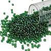 TOHO 8/0 Round Beads X-SEED-TR08-0167B-1
