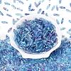 Picasso Transparent Glass Seed Beads SEED-N012-11K-2