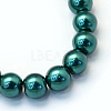 Baking Paint Pearlized Glass Pearl Round Bead Strands HY-Q003-10mm-79-2