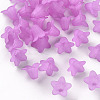 Transparent Acrylic Beads PLF018-04-1