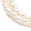 Natural Cultured Freshwater Pearl Beads Strands PEAR-P062-22-4