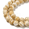 Natural Trochus Shell Beads Strands SHEL-K006-18D-3