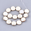 Freshwater Shell Multi-strand Links Strands X-SSHEL-T007-20B-2