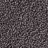 MIYUKI Round Rocailles Beads X-SEED-G008-RR0650-3