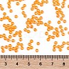 TOHO Round Seed Beads X-SEED-TR08-0174-4