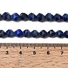 Natural Lapis Lazuli Beads Strands G-Z119-A39-01-6