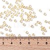 TOHO Round Seed Beads X-SEED-TR08-0770-3