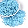 Baking Paint Glass Seed Beads SEED-T006-03I-3