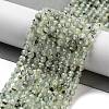 Natural Prehnite Beads Strands G-G140-A19-03-2