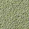 MIYUKI Round Rocailles Beads X-SEED-G008-RR4473-4