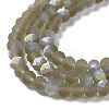 Transparent Glass Beads Strands X1-EGLA-A034-T4mm-MB16-4