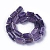 Natural Amethyst Beads Strands G-F595-J03-2
