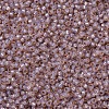 MIYUKI Round Rocailles Beads X-SEED-G007-RR0579-3