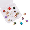 Kissitty 16Pcs 16 Style Natural & Synthetic Gemstone Pendants G-KS0001-06-4