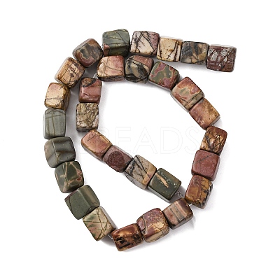 Natural Picasso Stone/Polychrome Jasper Beads Strands G-D098-D02-1