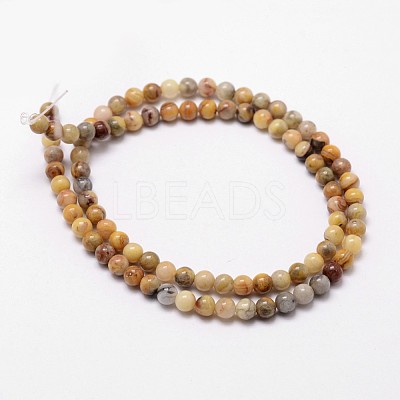 Natural Crazy Lace Agate Beads Strands G-D840-70-4mm-1