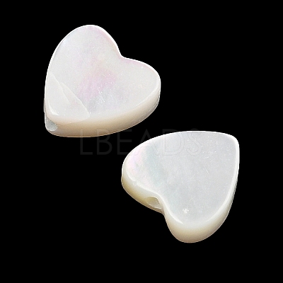 Natural White Shell Beads SSHEL-I026-09-1