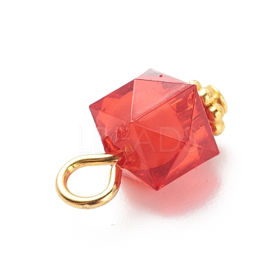 Transparent Acrylic Pendants PALLOY-JF01834-05-1