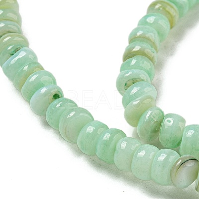 Dyed Natural Freshwater Shell Beads Strands BSHE-G039-07E-1