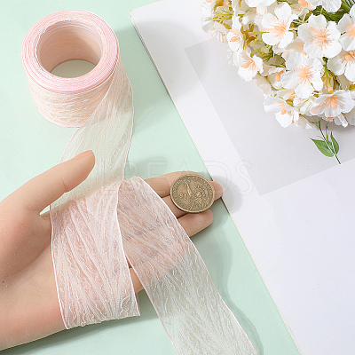 Polyester Pleated Ribbons SRIB-WH20020-005I-1