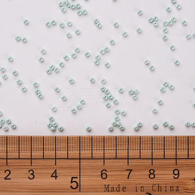 12/0 FGB Grade A Round Glass Seed Beads SEED-N001-A-1031-1