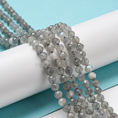 Faceted Round Natural Labradorite Bead Strands LS-G-I156-03-4mm-1