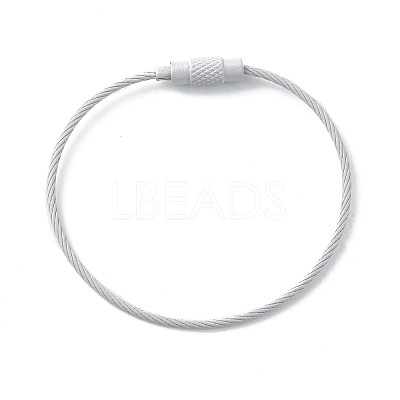 Baking Paint Stainless Steel Cable Wire Keychain AJEW-WH0413-15N-1