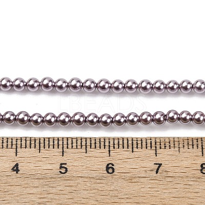 Electroplated Shell Pearl Beads Strands BSHE-G041-3mm-02-1