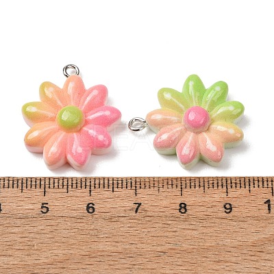 Gradient Color Opaque Resin Pendants RE-CBA5B90-05-1