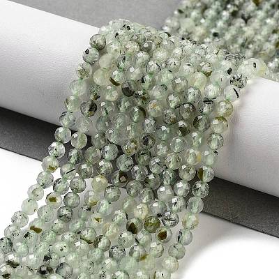 Natural Prehnite Beads Strands G-G140-A19-03-1