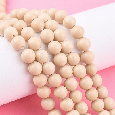 Natural Fossil Beads Strands X-G-E110-8mm-2-1