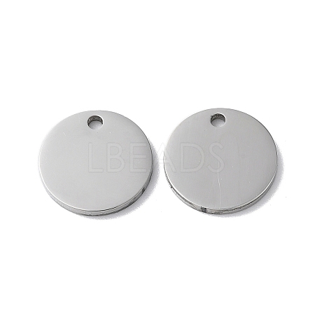 Non-Tarnish 304 Stainless Steel Charms STAS-Q308-09H-P-1