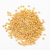 Brass Crimp Beads E002-G-2