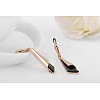 Triangle Real Platinum Plated Fashion Eco-Friendly Alloy Acrylic Earrings EJEW-AA00199-RG-2