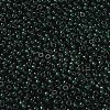 MIYUKI Round Rocailles Beads SEED-X0055-RR0156-2