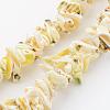 Natural Shell Bead Strands BSHE-P010-02-1