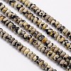 Natural Dalmation Jasper Beads Strands G-G551-03-1