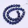 Frosted Round Natural Lapis Lazuli Beads Strands G-D743-10mm-2
