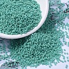 MIYUKI Round Rocailles Beads SEED-X0054-RR4475-1