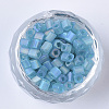 6/0 Transparent Glass Seed Beads SEED-S027-03B-12-2