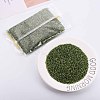 8/0 Glass Bugle Beads SEED-S032-07A-55A-2