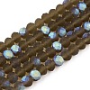 Transparent Glass Beads Strands EGLA-A044-T4mm-MB16-1